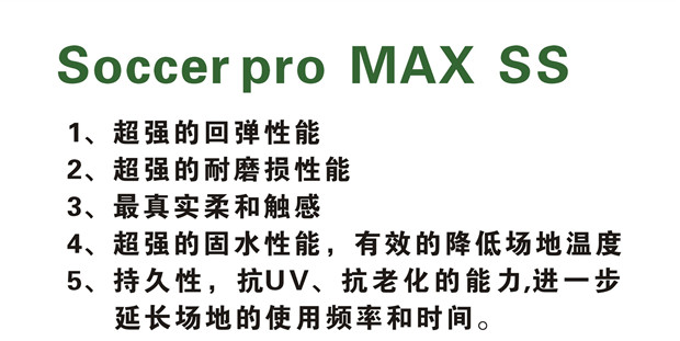 MAX-SS_副本_副本2.jpg
