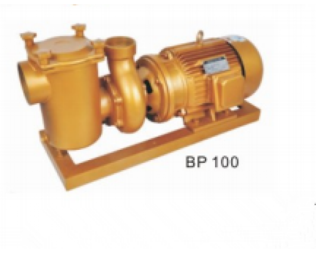 BP100铸铜泵
