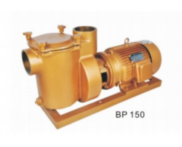 BP150铸铜泵