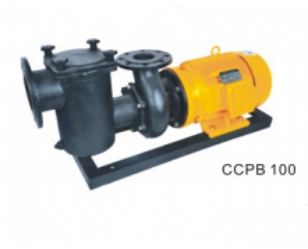 CCPB 100铸铁泵