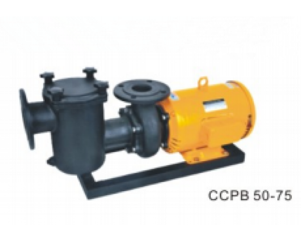 CCPB50-75铸铁泵